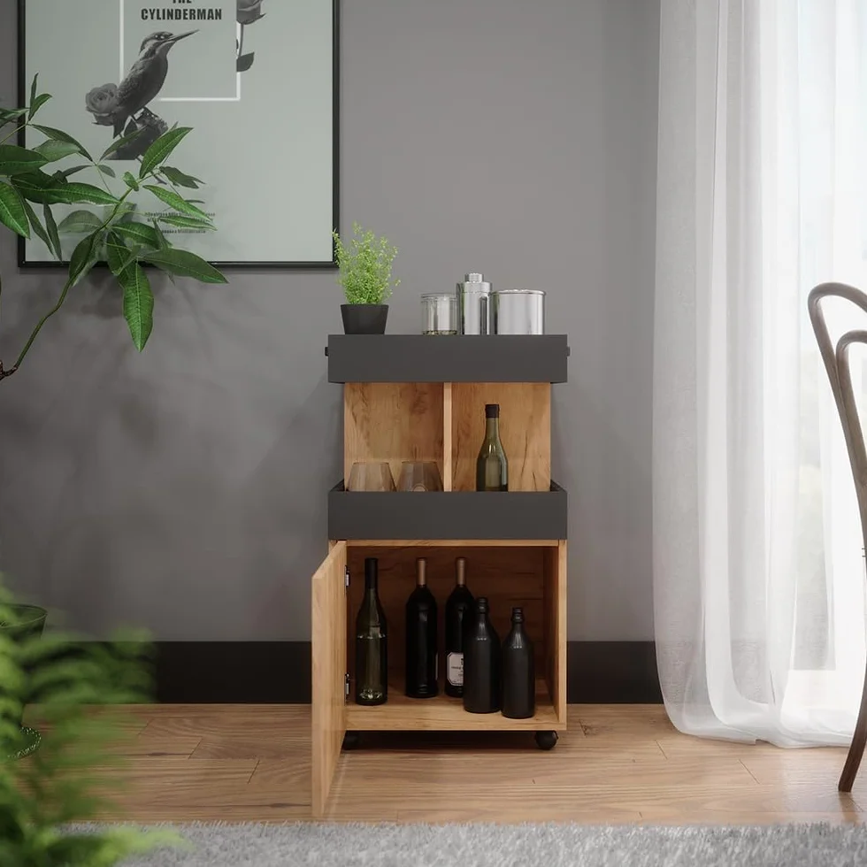 Vicco Hausbar Minibar Getränkebar Kamber Tür rollbar Ablage Fach Regal