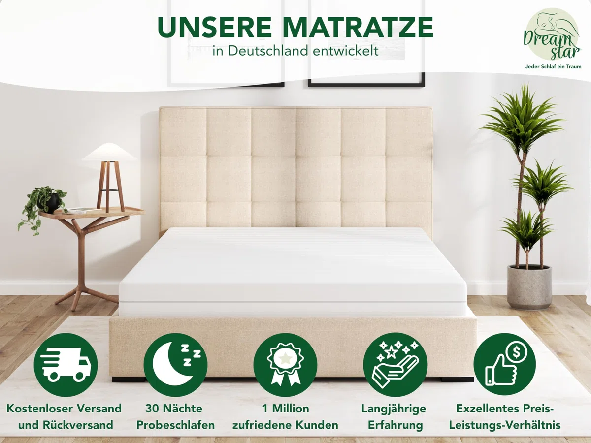 DREAMSTAR Easy Flex 7-Zonen Matratze 80x190 cm | H3&H4 | Ergonomische Kaltschaummatratze | Hypoallergen & Antibakteriell | Bezug abnehmbar & waschbar | Oeko-TEX® | (13cm, 80 x 190 cm)