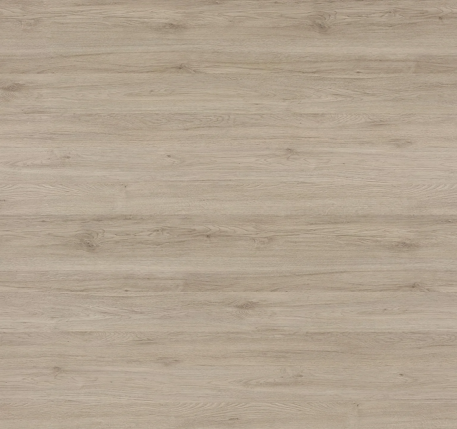Pelipal Badezimmer Hängeschrank Quickset 313 in Sanremo Eiche Terra quer Nachbildung, 60 cm breit | Bad Wandschrank mit 2 Türen und 2 Einlegeböden