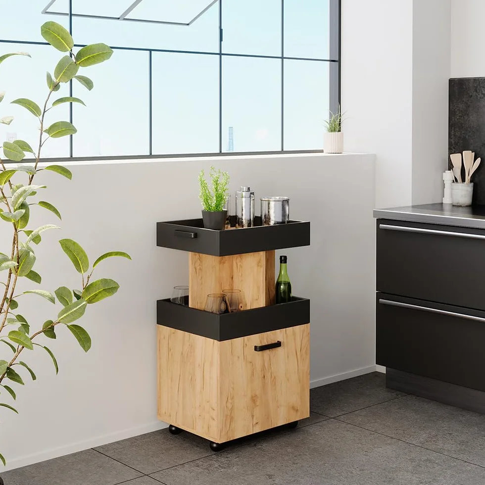 Vicco Hausbar Minibar Getränkebar Kamber Tür rollbar Ablage Fach Regal